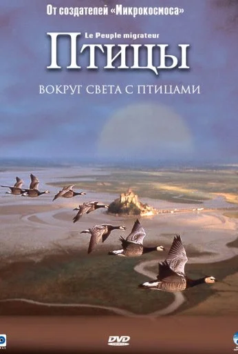 Птицы (2001) онлайн бесплатно